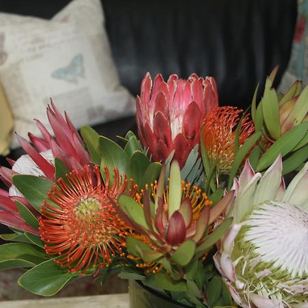 Tortelduif Cottage Stellenbosch Zewnętrze zdjęcie