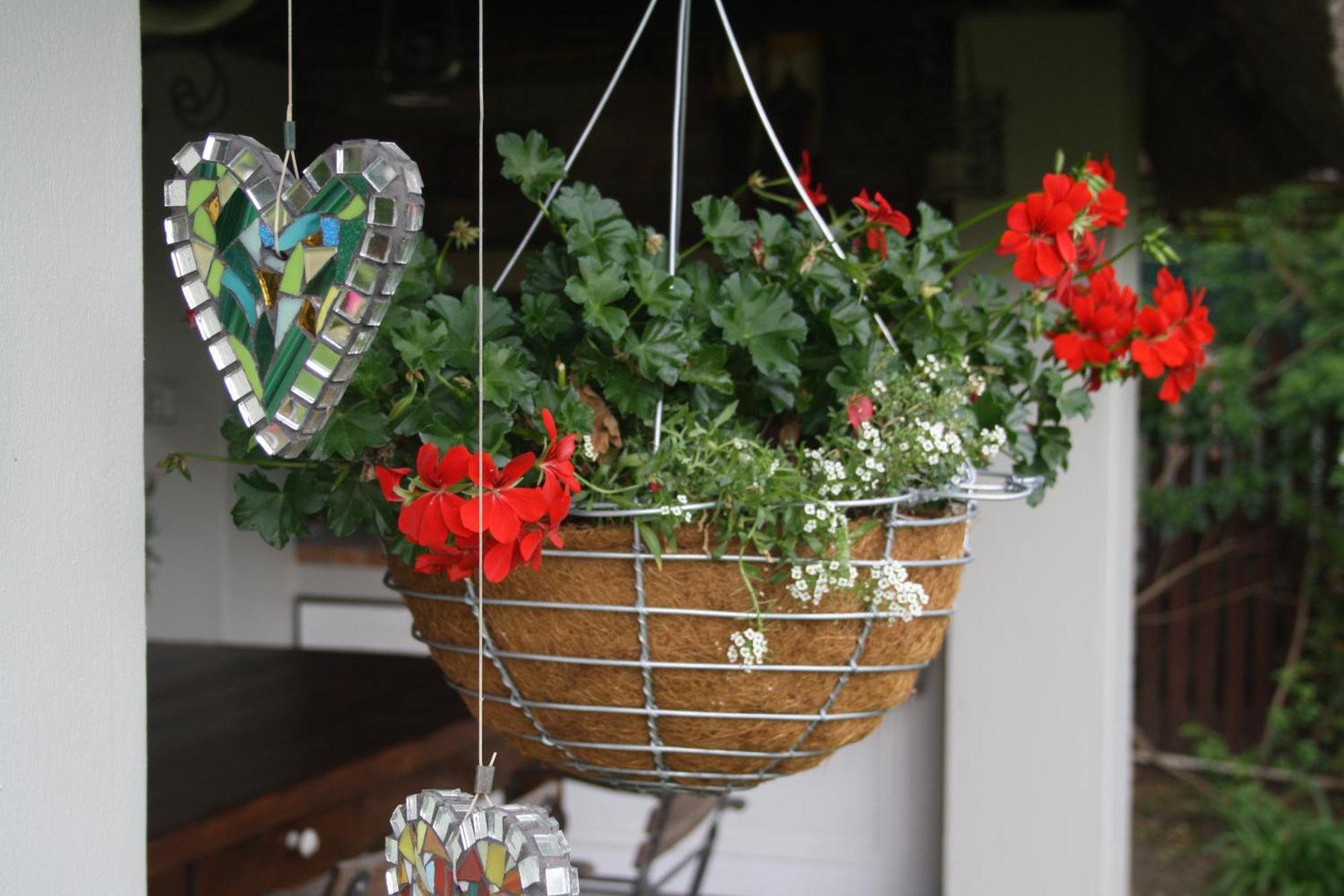 Tortelduif Cottage Stellenbosch Zewnętrze zdjęcie