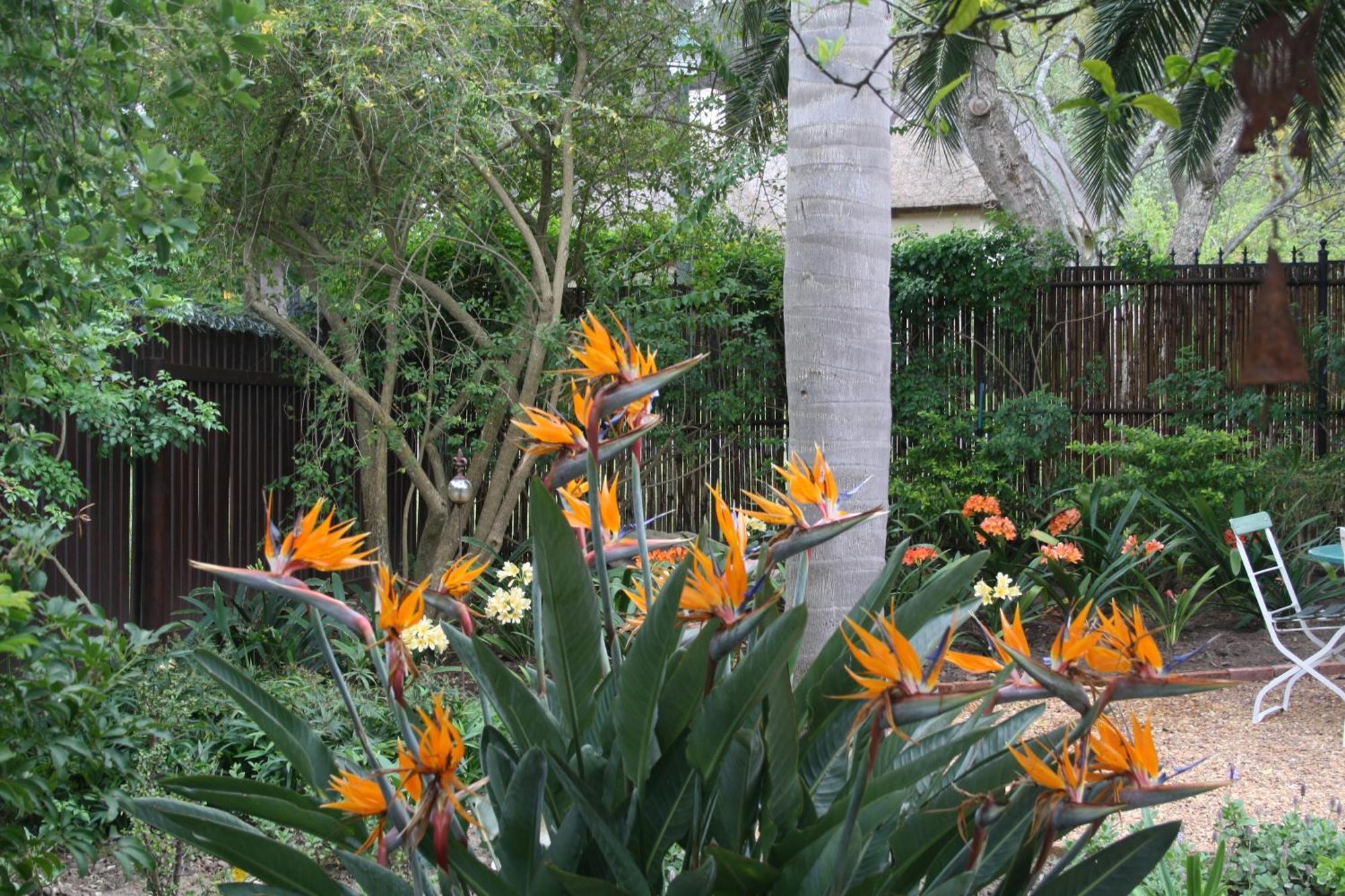 Tortelduif Cottage Stellenbosch Zewnętrze zdjęcie