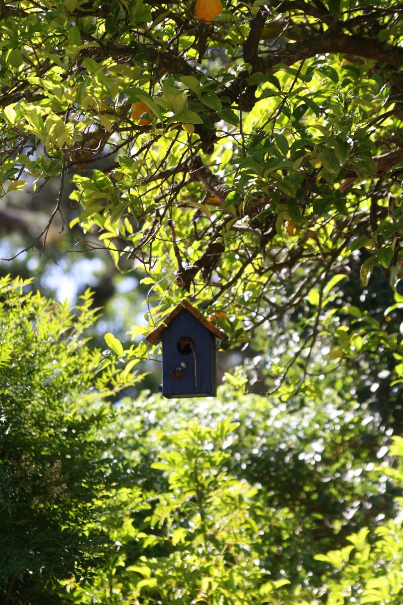 Tortelduif Cottage Stellenbosch Zewnętrze zdjęcie